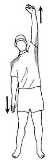 Растяжка боковых частей туловища, плечевого пояса и рук